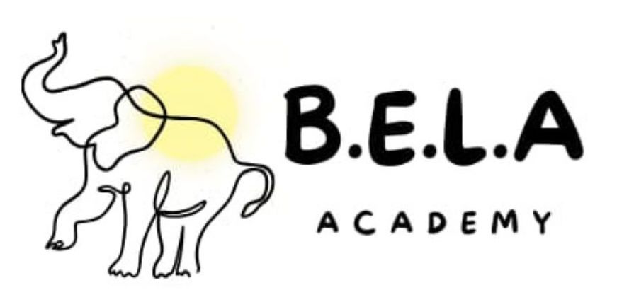 BELA Academy