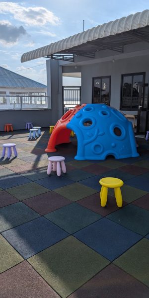 bela-academy-dsm-11